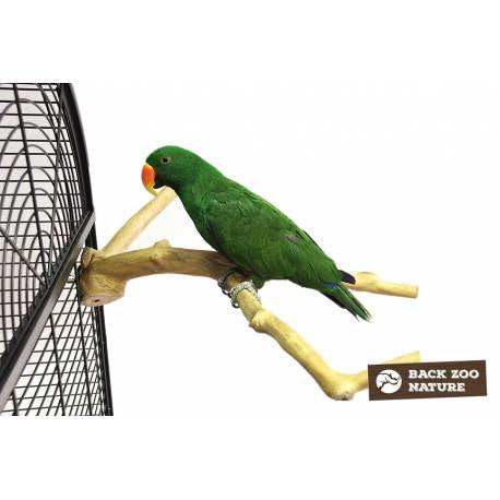 Back Zoo Nature Java Multi Perch Premium Large