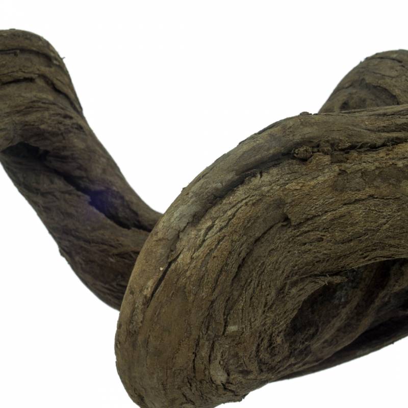 Back Zoo Nature Liana Snakewood ca. 90-100 x 3-4 cm