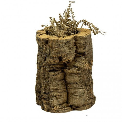 Back Zoo Nature CRINKLE PAPER SUN MIX