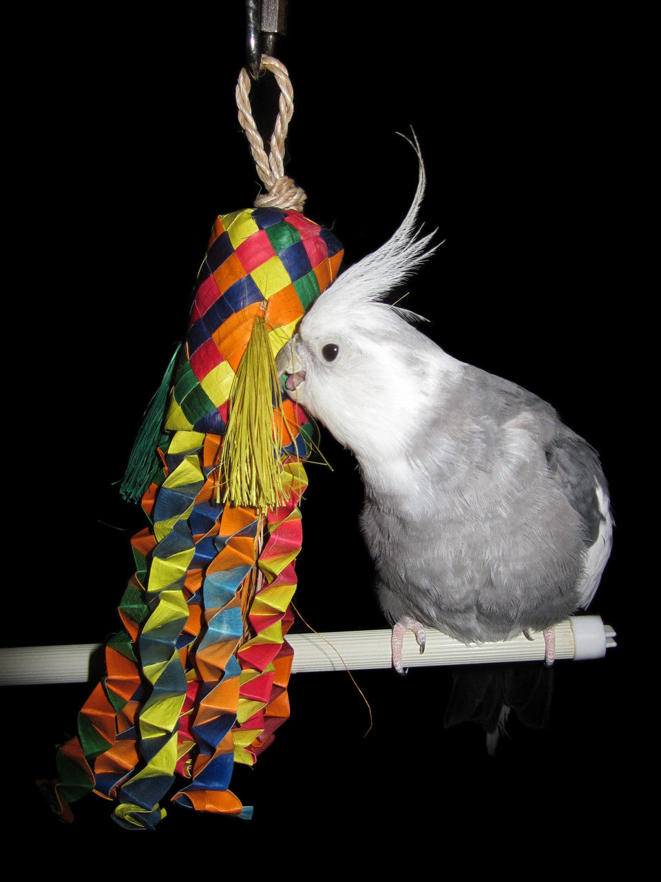 Blæksprutte Pinata (Papegøje legetøj)