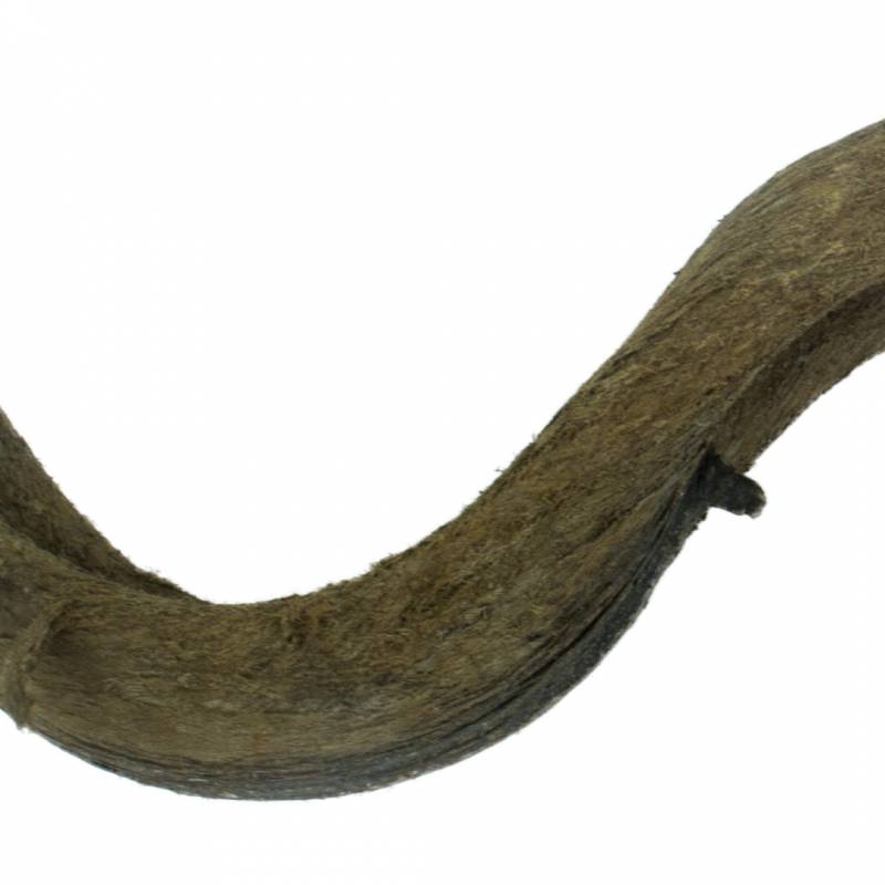 Back Zoo Nature Liana Snakewood ca. 90-100 x 3-4 cm