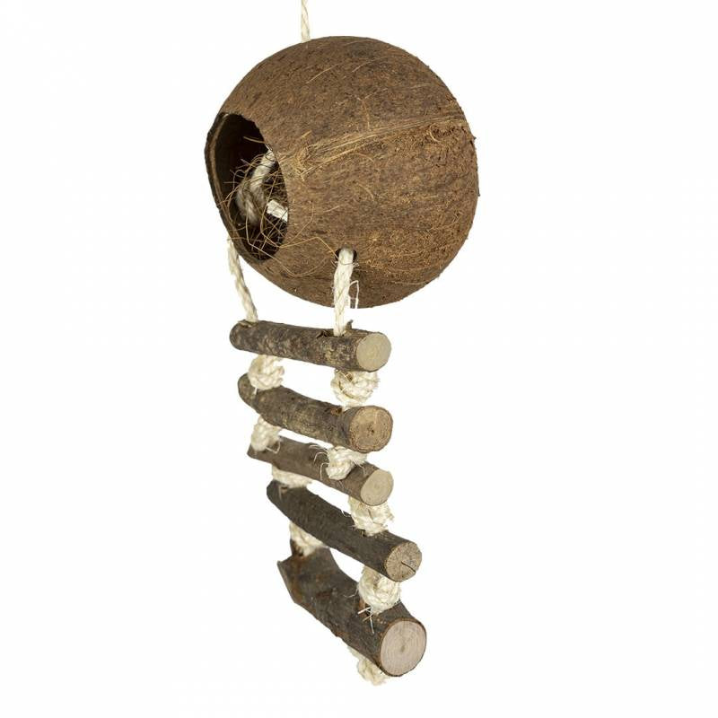 Back Zoo Nature Coconut med stige