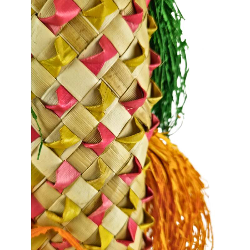 Back Zoo Nature Napa Fish Pinata