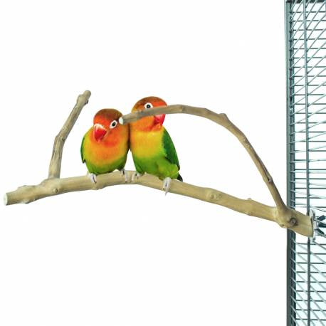 BACK ZOO NATURE multi perch premium SMALL