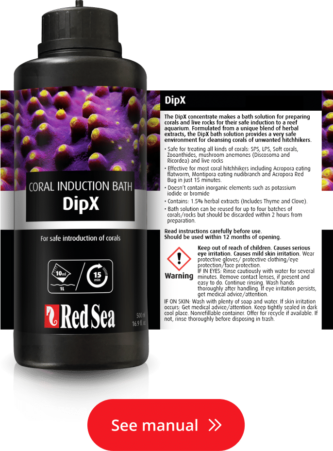 DipX - effective dip for corals (250ml)