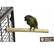 BACK ZOO NATURE Java Single Perth small