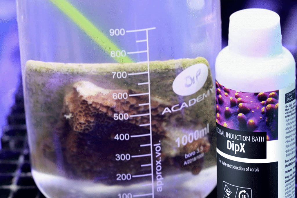 DipX - effective dip for corals (250ml)