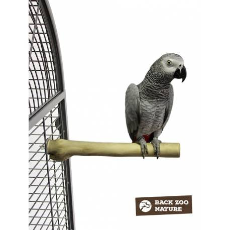 BACK ZOO NATURE Java Single Perth medium