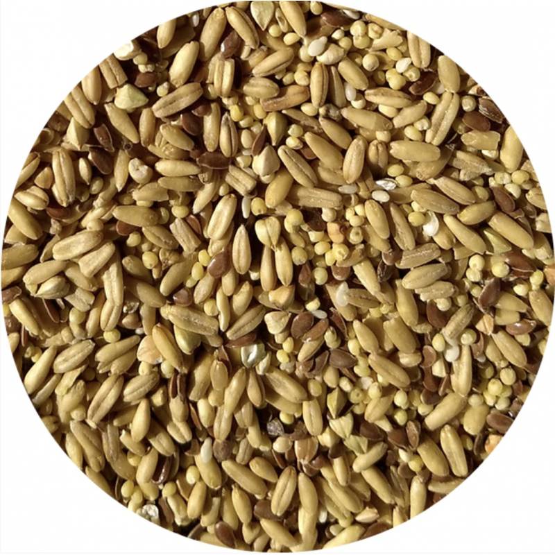 TOP's Parrot Food (Papegøjefoder) Napoleon Seed Mix Small Parrots 453 gram