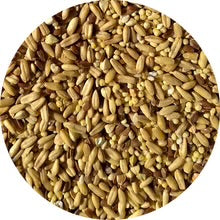 TOP's Parrot Food (Papegøjefoder) Napoleon Seed Mix Small Parrots 453 gram