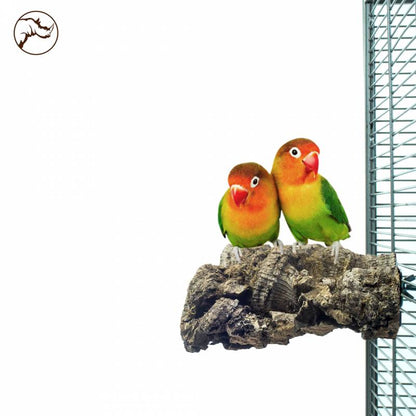 Back Zoo Nature Corky Chew Small