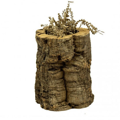 Back Zoo Nature CRINKLE PAPER SUN MIX