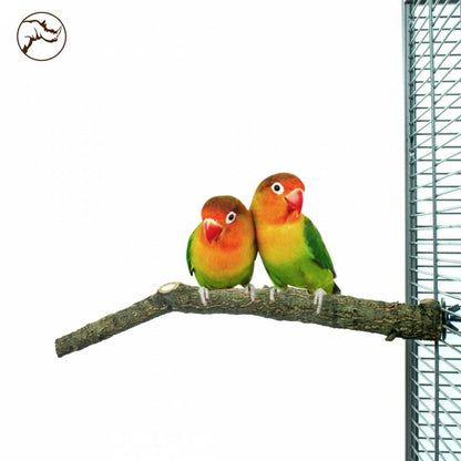 Back Zoo Nature Corky perch small