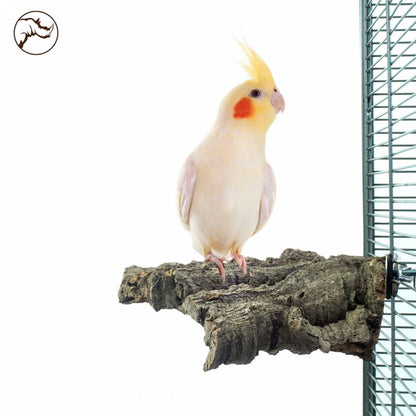 Back Zoo Nature Corky Chew medium