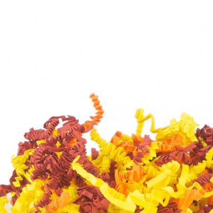 Back Zoo Nature CRINKLE PAPER SUN MIX
