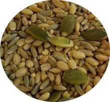 TOP's Parrot Food (Papegøjefoder) All In One Seed Mix Medium/Large parrots 453 gram