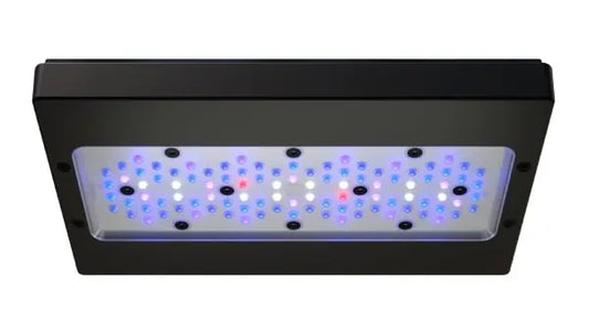 Radion XR30 G6 LED Light w/ EU kabel