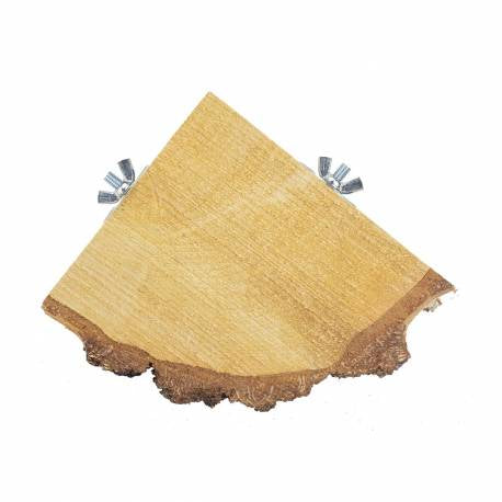 BACK ZOO NATURE Quartar Wood slice