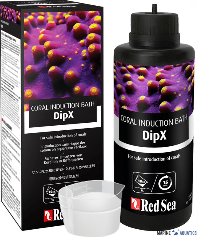 DipX - effective dip for corals (250ml)