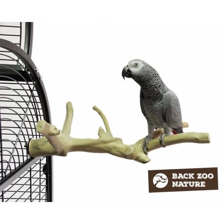 BACK ZOO NATURE multi perch premium MEDIUM