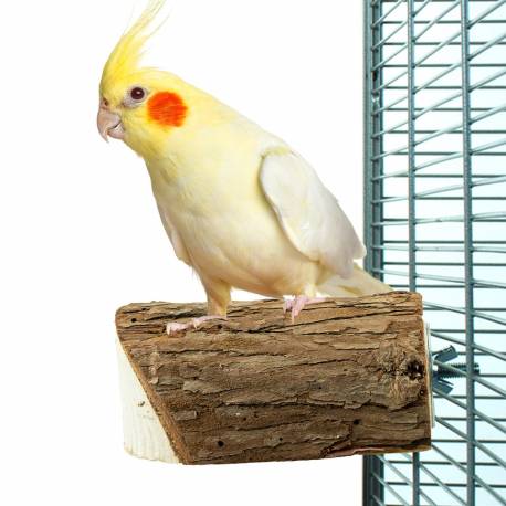 BACK ZOO NATURE WOOD SLICE PERCH SMALL