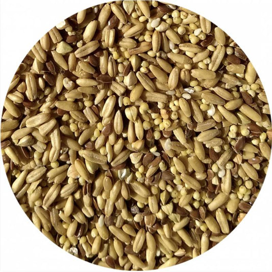 TOP's Parrot Food (Papegøjefoder) Napoleon Seed Mix Small Parrots 453 gram